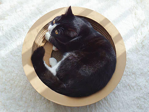 余姚cat-004碗型貓抓板
